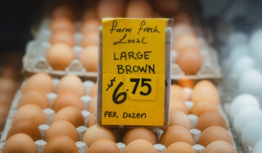 why are eggs so expensive